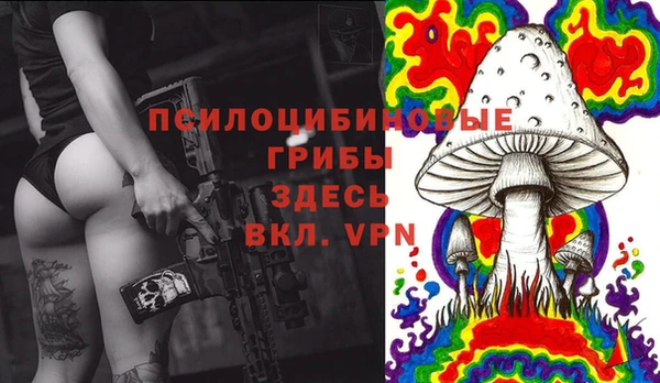 ALPHA PVP Мегион