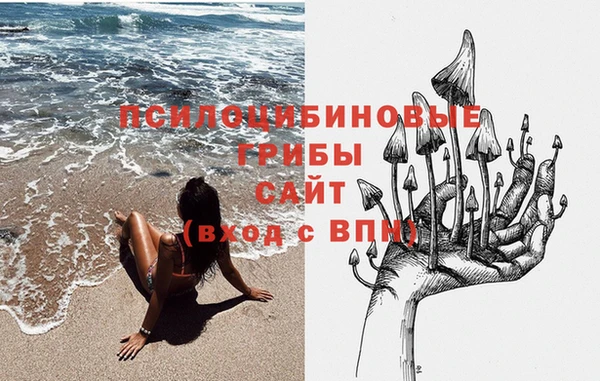 хмурый Анжеро-Судженск