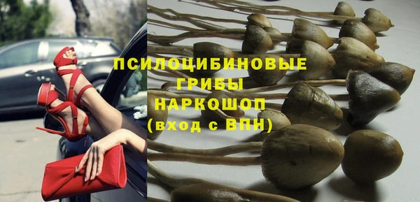 ешки Апатиты